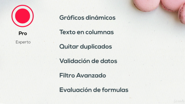 Excel 2016 ¡Desde cero hasta experto! – Screenshot 3