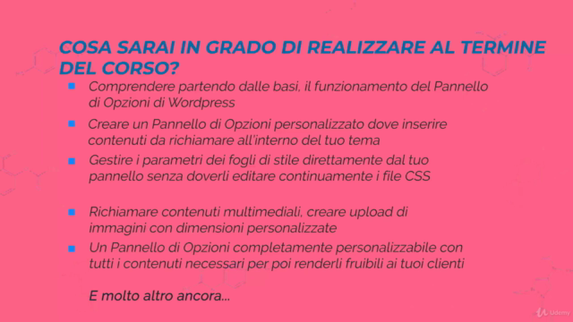 Wordpress: crea il tuo Pannello di Opzioni personalizzato – Screenshot 4
