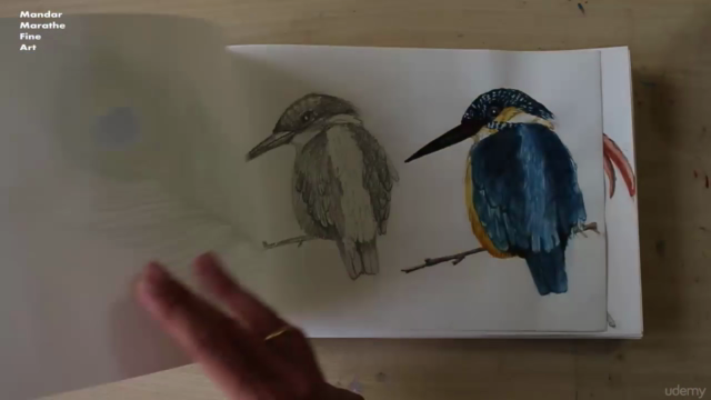 Sketchbook Everyday: Painting Flowers in Watercolor – Screenshot 1