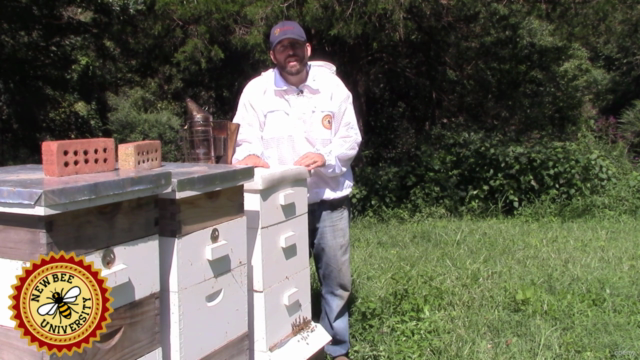 Beekeeping 101: A 10 Step Guide to Becoming a Beekeeper – Screenshot 3