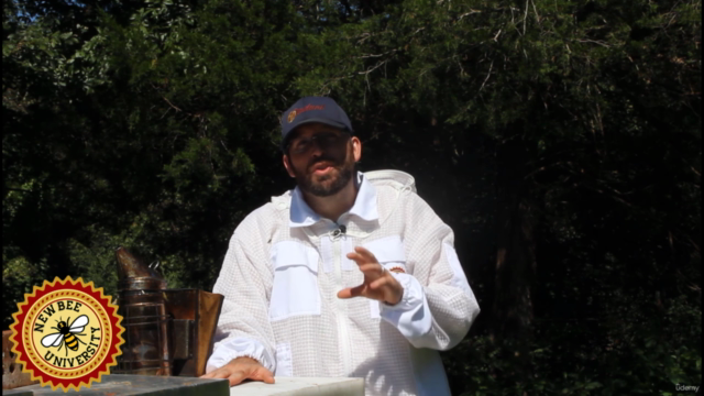 Beekeeping 101: A 10 Step Guide to Becoming a Beekeeper – Screenshot 4