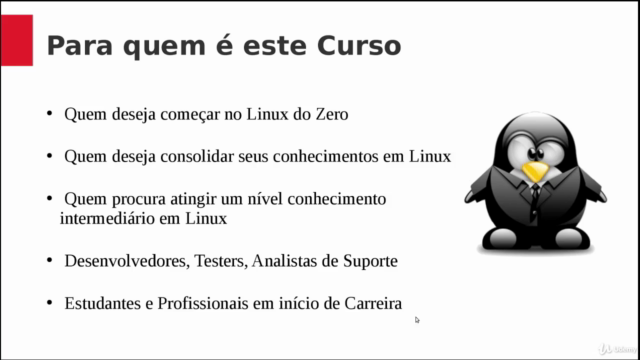 Primeiros Passos no Linux - Conceitos e Principais Comandos – Screenshot 4