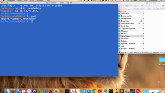 The Mac Terminal Course for Beginners – Screenshot 2