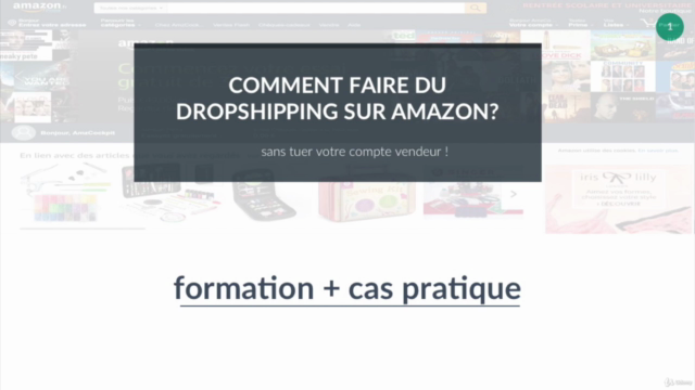 Comment faire du dropshipping sur Amazon? - Screenshot_04
