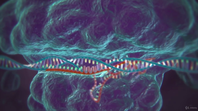 DNA Hacking with Swift 4 | Xcode 9 – Screenshot 2