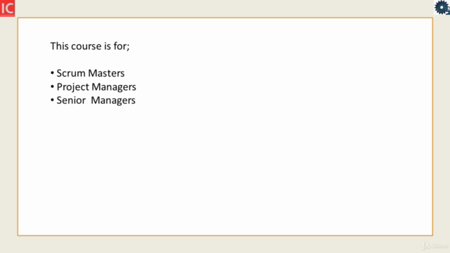 Agile Transformation and Scaled Agile – Screenshot 4