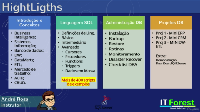Banco de dados Expert:  Linguagem SQL  e Administração. – Screenshot 2