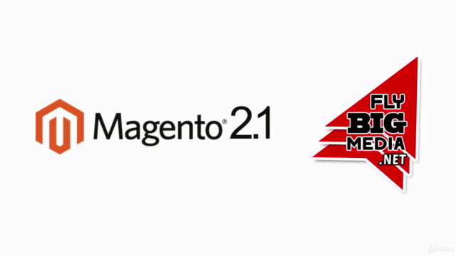 MAGENTO 2.1 - Schritt für Schritt zum BESTEN ONLINE SHOP – Screenshot 1