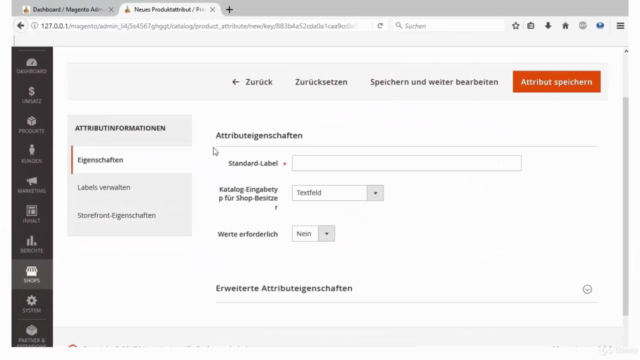 MAGENTO 2.1 - Schritt für Schritt zum BESTEN ONLINE SHOP – Screenshot 3