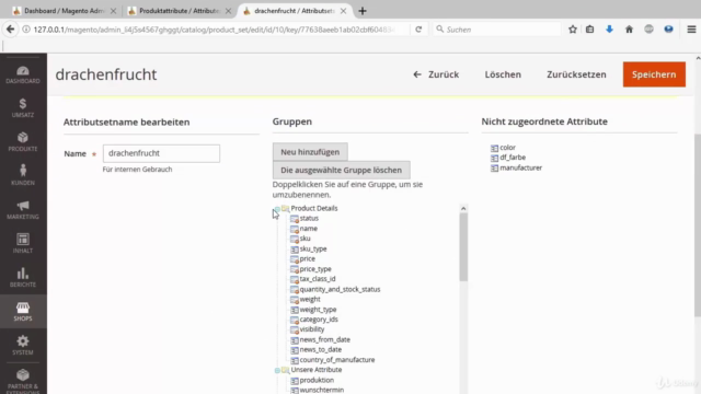 MAGENTO 2.1 - Schritt für Schritt zum BESTEN ONLINE SHOP – Screenshot 4