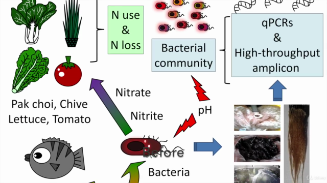Powerpoint for Scientist: Guides for Presentation and Design – Screenshot 1