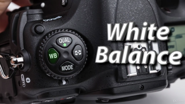Nikon D500 Crash Course – Screenshot 1