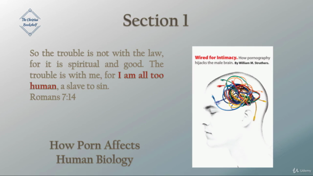 Pursuing Purity: Breaking Free From Your Pornography Habit – Screenshot 3