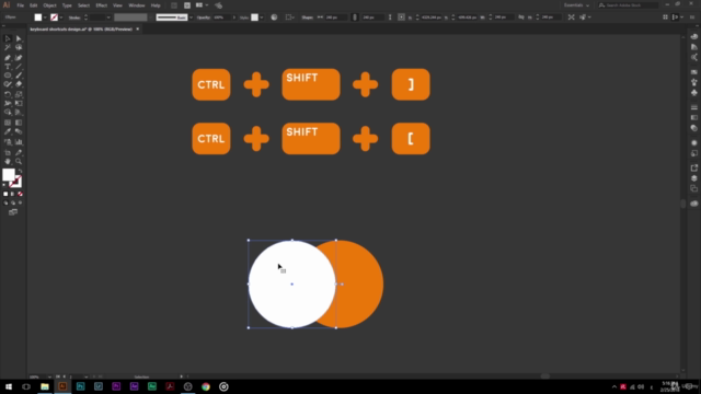 Illustrator Complete Beginner Tips, Tricks & Basics. – Screenshot 2