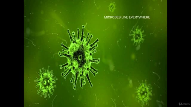 Managing Your Microbiome - Screenshot_03