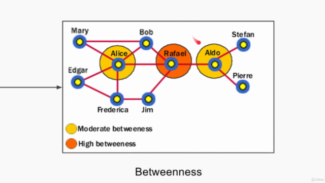 Complete Visualization: Data Graphs Diagram yEd Visio 5 Hrs – Screenshot 2