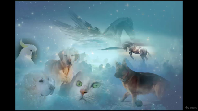 Animal Communication - Animals and the Afterlife – Screenshot 1