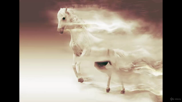 Animal Communication - Animals and the Afterlife – Screenshot 3