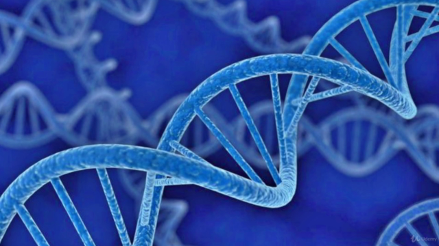 Cancer Genomics | Neural Networks vs k-NN Classifiers – Screenshot 2