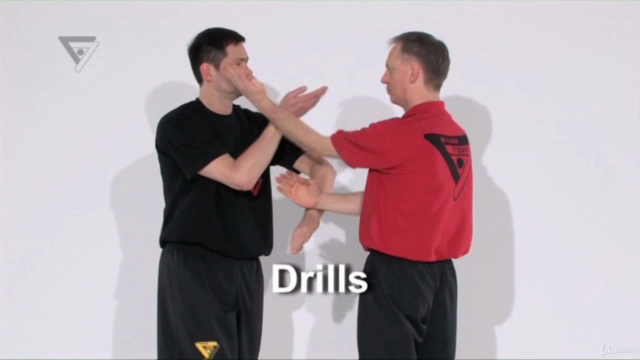 WT-Kampfkunst (Lehrerprogramm 7) – Screenshot 2