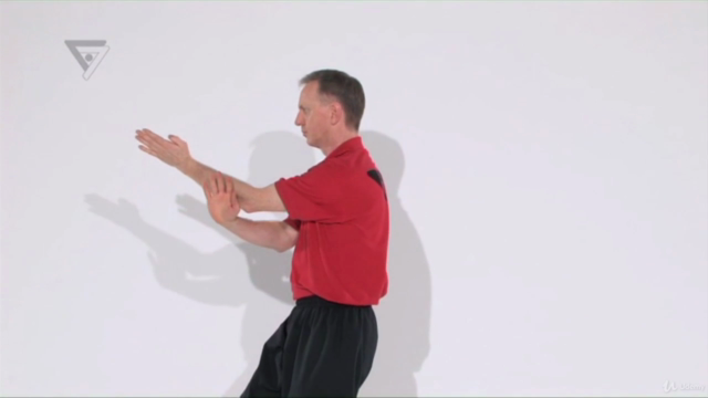 WT-Kampfkunst (Lehrerprogramm 7) – Screenshot 4