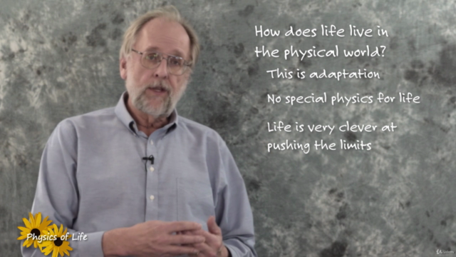 Physics of Life 1. Thermodynamics – Screenshot 2