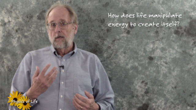 Physics of Life 1. Thermodynamics – Screenshot 3