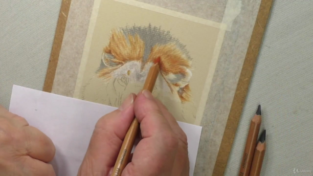 Draw Wild Animals using Pastel Pencils Volume 1 – Screenshot 1