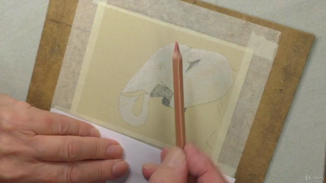 Draw Wild Animals using Pastel Pencils Volume 1 – Screenshot 2