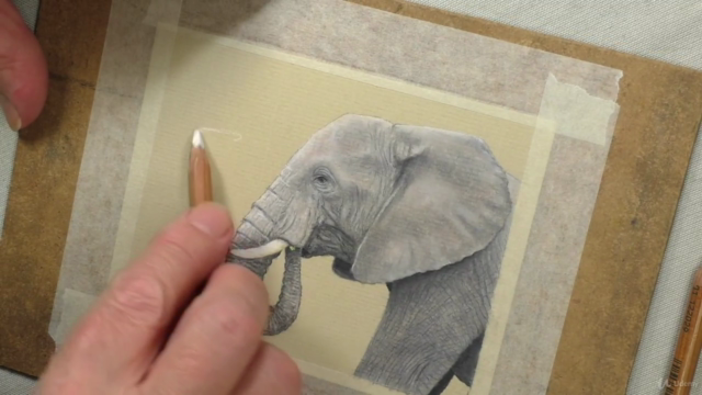 Draw Wild Animals using Pastel Pencils Volume 1 – Screenshot 3