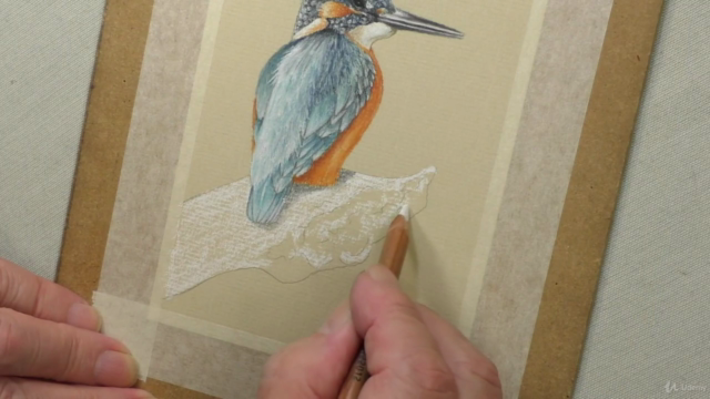 Draw Wild Animals using Pastel Pencils Volume 1 – Screenshot 4