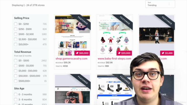 Shopify Meisterkurs: Der Komplette Shopify Dropshipping Kurs – Screenshot 4
