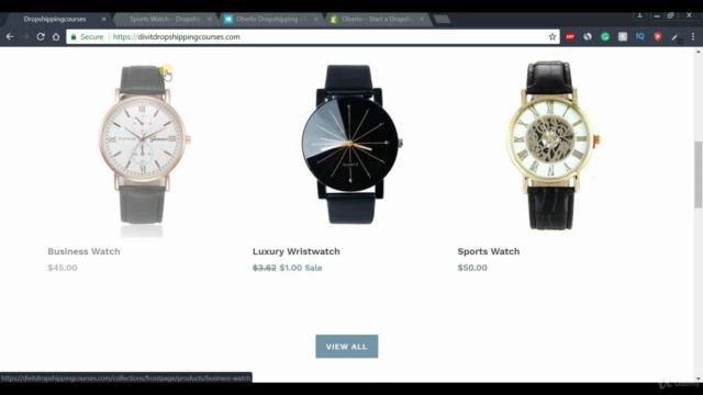 Create a Shopify Dropshipping Store in 1 hour - Screenshot_03