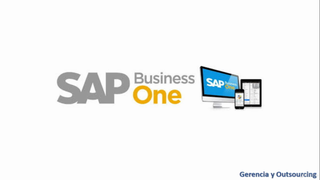 SAP Business One - Panorama General – Screenshot 1
