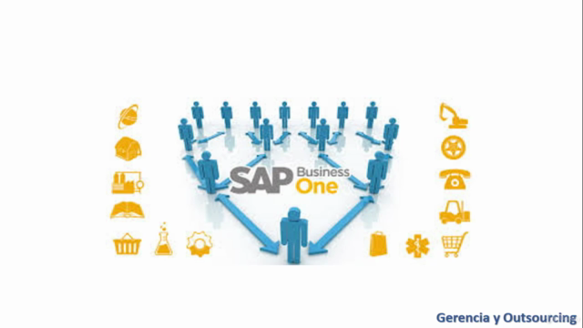 SAP Business One - Panorama General – Screenshot 4