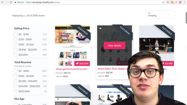 Shopify Dropshipping Business (Light): The Complete Course – Screenshot 4