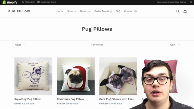 Shopify Meisterkurs (Light): Der kurze Shopify Meisterkurs – Screenshot 3