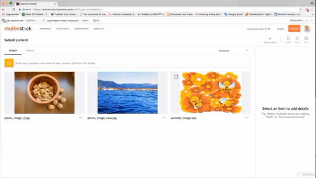Shutterstock gibi sitelere görsel yükleyin, gelir elde edin. - Screenshot_03