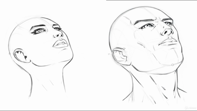 How to Draw Heads - Step by Step - From Any Angle – Screenshot 2