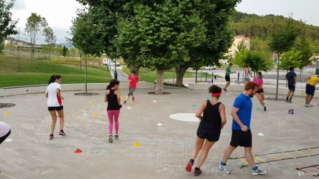 Functional Fitness for ALL Levels | #TrainwithTMax – Screenshot 3