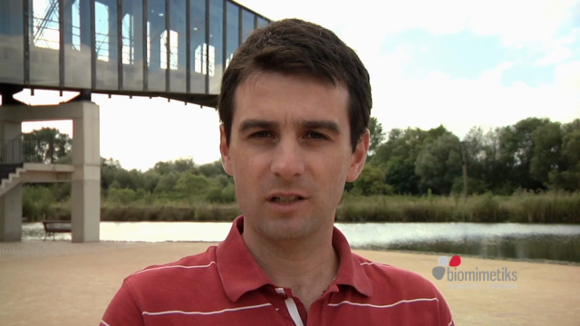Biomimética. Aprende a innovar inspirándote en la Naturaleza – Screenshot 3