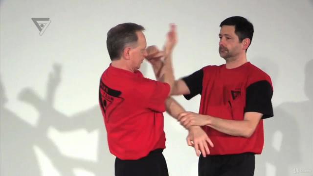 WT-Kampfkunst (Lehrerprogramm 10) – Screenshot 3