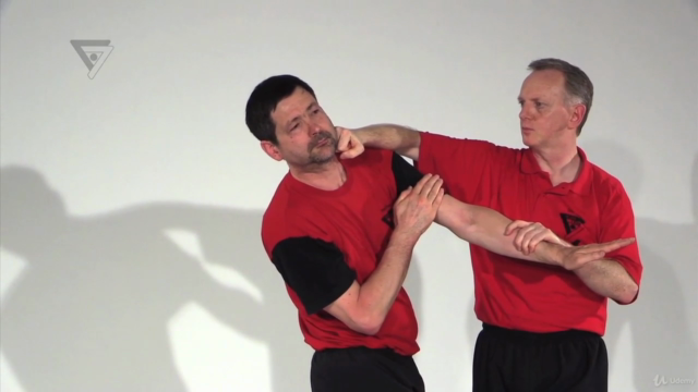 WT-Kampfkunst (Lehrerprogramm 10) – Screenshot 4