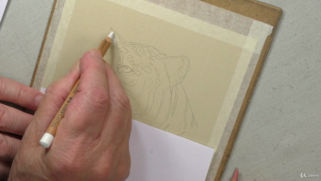Draw Wild Animals using Pastel Pencils Volume 2 – Screenshot 1