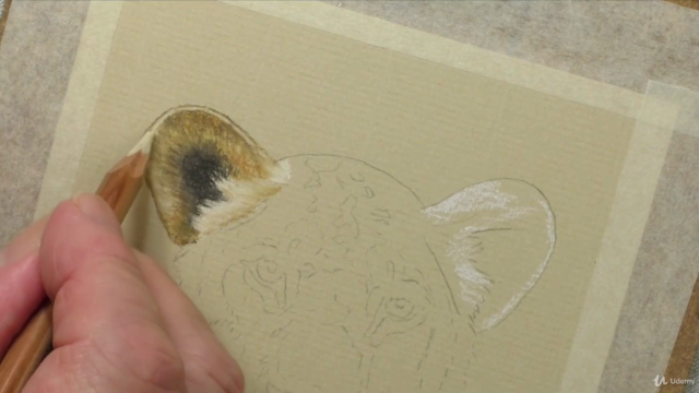 Draw Wild Animals using Pastel Pencils Volume 2 – Screenshot 2