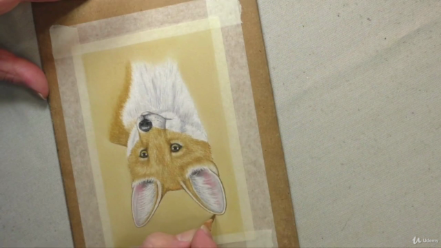 Draw Wild Animals using Pastel Pencils Volume 2 – Screenshot 4