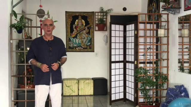 Curso Kung Fu Estilo da Águia - Nível I – Screenshot 1