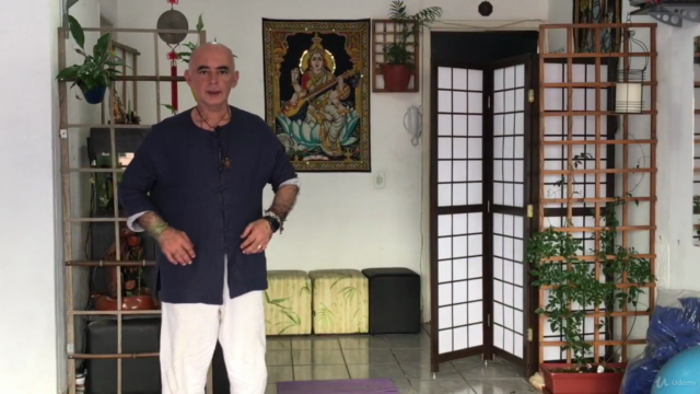 Curso Kung Fu Estilo da Águia - Nível I – Screenshot 3
