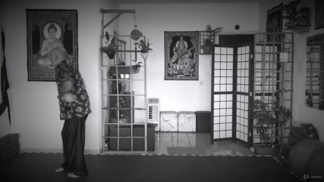 Curso Kung Fu Estilo da Águia - Nível I – Screenshot 4