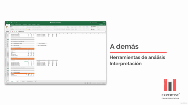 Análisis financiero corporativo – Screenshot 4